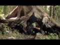 The City of Mirrors: a fictional biography Trailer | SGIFF 2016