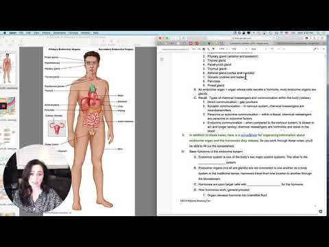 Endocrine System 1  Introduction