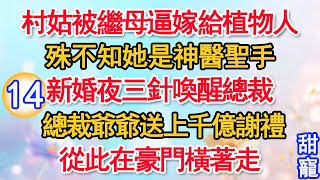 Download lagu 第14集：村姑被繼母逼嫁給植物人沖喜，殊不知她是神醫聖手。新婚夜三針喚醒總裁！總裁爺爺送上千億謝禮從，此在豪門橫著走！#甜寵#現代言情#豪門霸總#完結#甜文 #小说 mp3