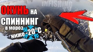Ловится ли окунь в мороз
