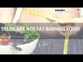 There Are No fat Burning Foods!