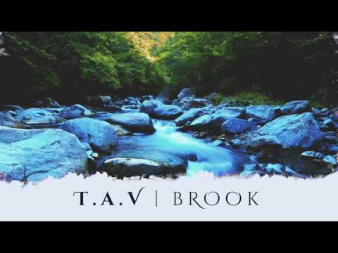 T.A.V - Brook ft. GiElee Kaur