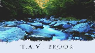 T.A.V - Brook ft. GiElee Kaur