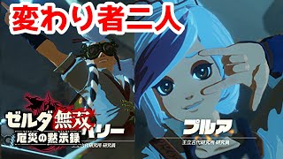 【実況】定年を迎えた父を再びハイラルの大地に放り込むPart5【ゼルダ無双 厄災の黙示録】