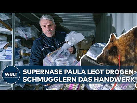 KÖLN/BONN: Sechs Tonnen Drogen am Flughafen sichergestellt - Spürhund im Einsatz gegen Dealer!