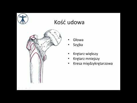 Mięśnie brzucha ćwiczenia trenować Ćwiczenia na tylnych mięśni ud