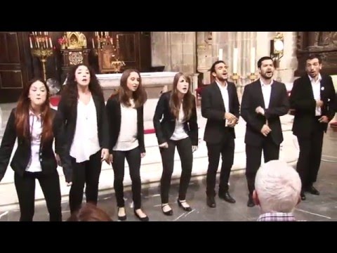 Organ Fugue (J S Bach) - Voces del Más Acá