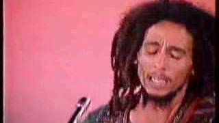 Bob Marley &amp; the Wailers - Roots Rock Reggae