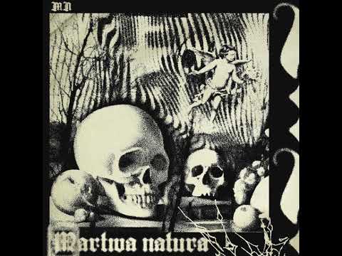 651HIKI/chimpy42' - W OPOZYCJI