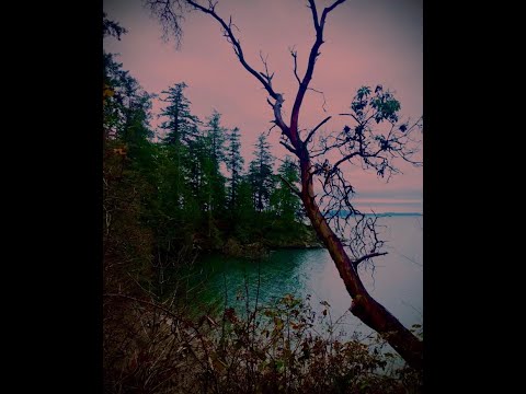 Zon3 SB - REASONZ [prod. Unknxwn & Trvpyyy]