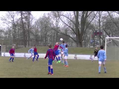 Samenvatting Hermes DVS D1 - Kethel Spaland D1