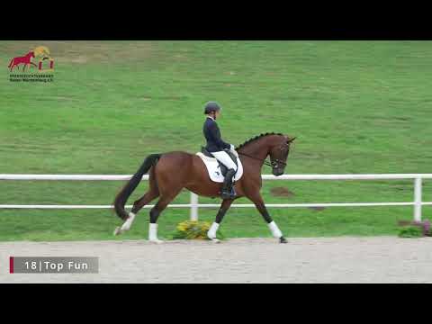 KN 18 Top Fun *2020 Stute v. Topas - Foundation