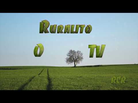 Bons Pensamentos #57