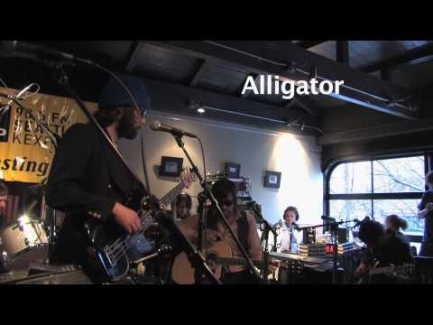 Beads - Alligator (Live on KEXP)