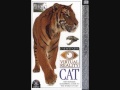Eyewitness Virtual Reality Cat OST