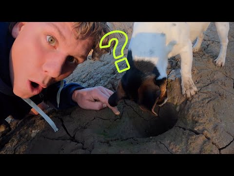 How To Catch Big Yabbies In The Middle Of Winter