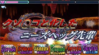 ニーズヘッグ降臨！ 初見ノーコン【パズドラレーダー 】