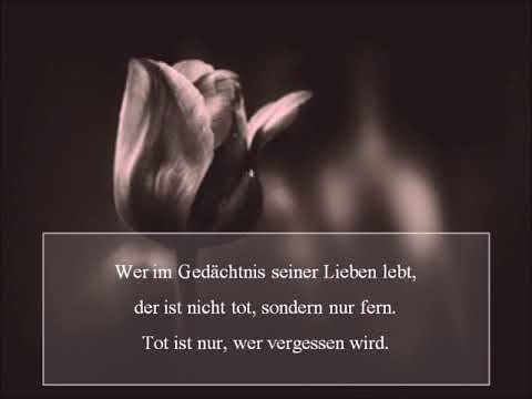 Young Roses "Amoi seg ma uns wieder"