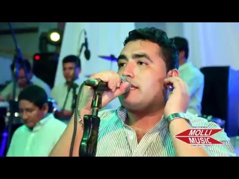 ARMONÍA 10 - DON MARIO (Primicia)