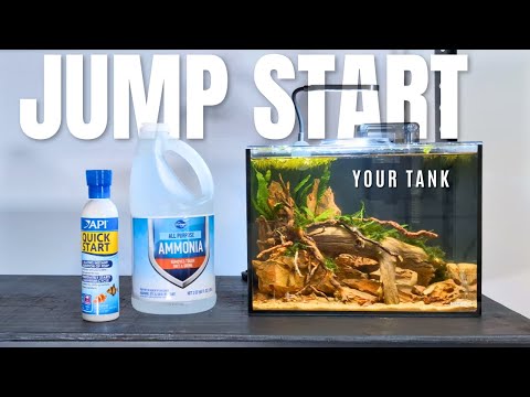 Cycle your new aquarium in 3 days with these 6 SIMPLE steps