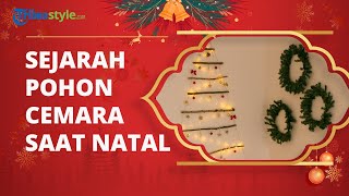 Sejarah di balik Adanya Pohon Cemara saat Perayaan Natal, Bermula dari Jerman?