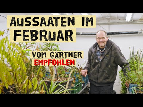 Februar-Aussaat: Profi-Gärtner enthüllt Geheimnisse im neuen Raum