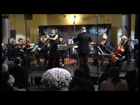 C.Ph.E. Bach Flute Concerto in re minore, primo movimento.
