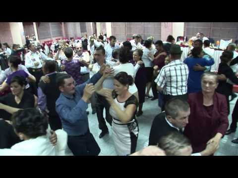 Gabriela Bolundut si Ionica Selagea - Formatia - STAR MUSIC - LIVE NUNTA - 2016