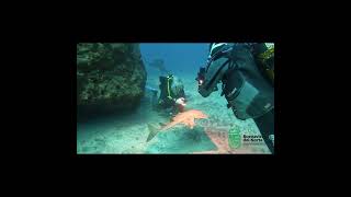 Punta de Teno | PUNTA DE TENO (DESDE PLAYA) - TENERIFE - Santa Cruz de Tenerife Punta de teno España foto 1