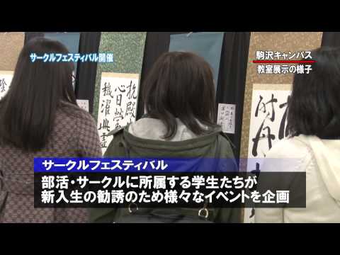英米文学科 2014年度_02 駒澤大学 サークルフェスティバル