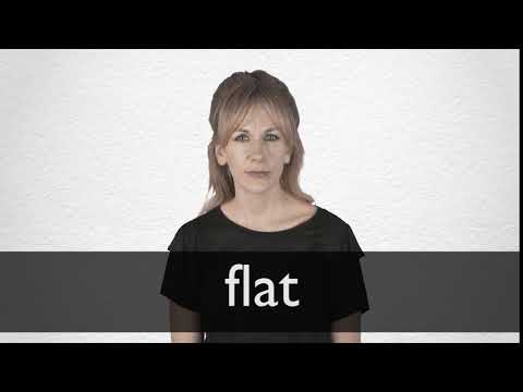 FLAT definition and meaning