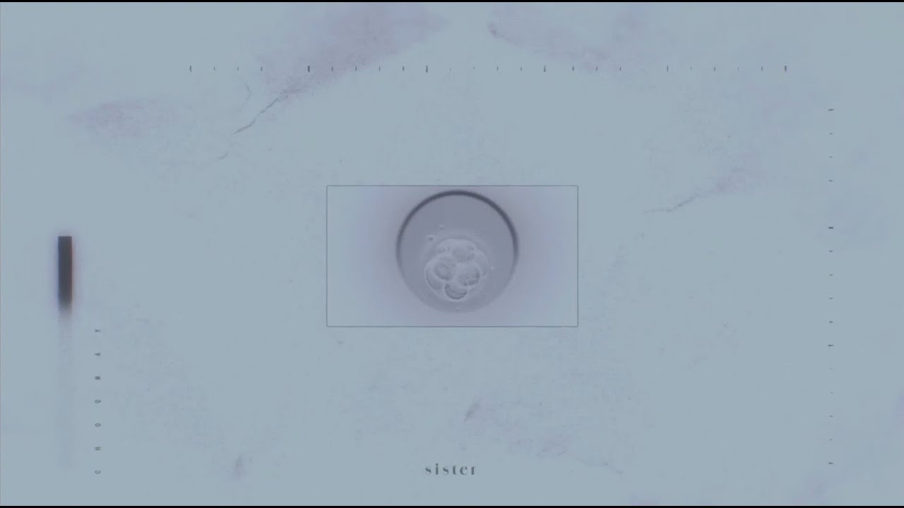 『sister』Music Video ／ チョーキューメイ
