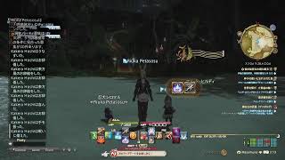 FF14  my  sisterとモグコレ。短め配信。