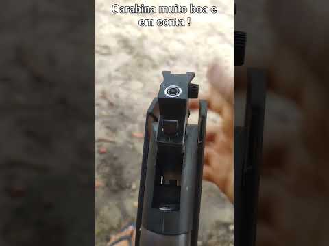 carabina 5.5 bem barata !