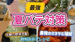 【夏の日常Vlog】我が家の夏バテ予防！時短！最強に美味しい野菜おかずレシピ/ミネラル補給ができるマグネシウム炭酸とは/半額•送料無料で買える安心野菜セットのご紹介(坂ノ途中)