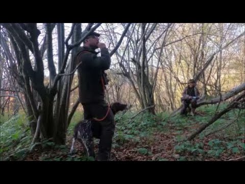 I Met Hunters - Episode 272 Hunting for hazel grouses with saffron milk caps in the background