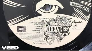 Rainfall (The Vines) - cover by Craig D