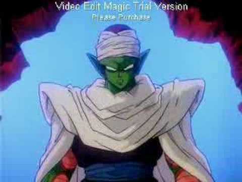 PICCOLO VERSUS SANSHO
