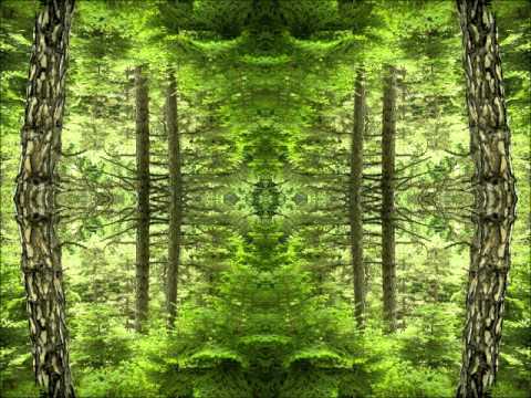 Man Of The Last 3rd - Secret Vision