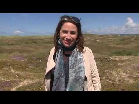 Page été Siouville et Bisville