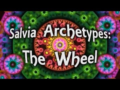 Salvia Archetypes: The Wheel/ The Book