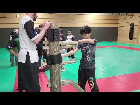 Wing Chun training - Wooden Dummy and Siu Nim Tao applications