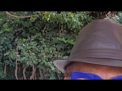 Coffeetime W Terisa Griffin