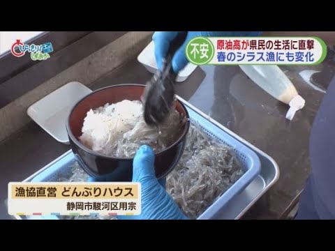 YouTube Video 原油高の影響さまざまに　クリーニング店「ハンガーやビニールも心配」　入浴施設は休業　シラス漁は共同で　静岡