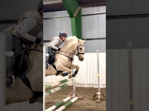 Ella & Casper JUMPING LESSON😍 #shorts #horse #pony