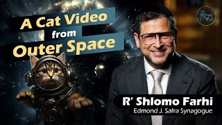 Vayimaen (וימאן) R' Shlomo Farhi - A Cat Video from Outer Space