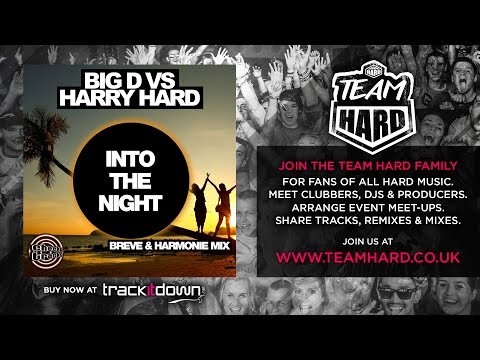 Big D vs Harry Hard - Into The Night (Breve & Harmonie remix) - Cheeky Tracks