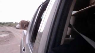 Liberty's last hurrah