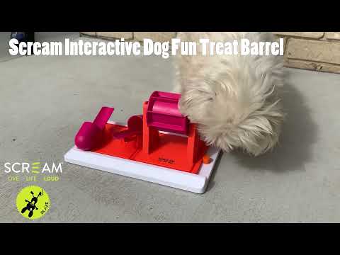 Scream INTERACTIVE DOG FUN TREAT BARREL Loud Green / Blue 31.5x15.5cm