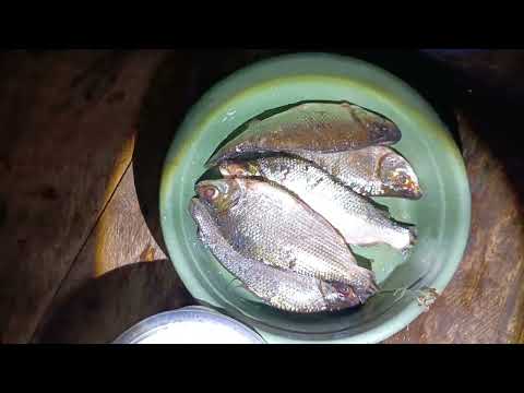A peixada de Coari no Amazonas na ponte do Roberval🇧🇷